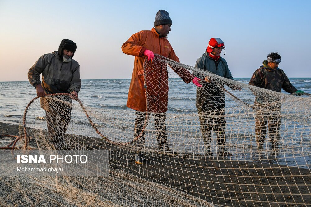 تصاویر: صید ماهی در سواحل شرقی دریای خزر