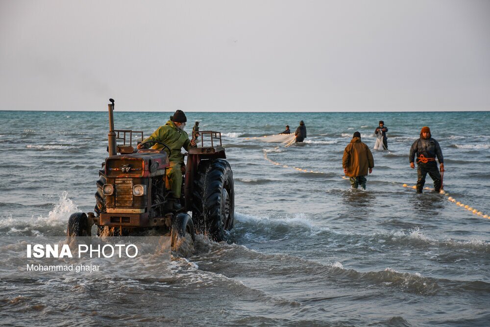 تصاویر: صید ماهی در سواحل شرقی دریای خزر