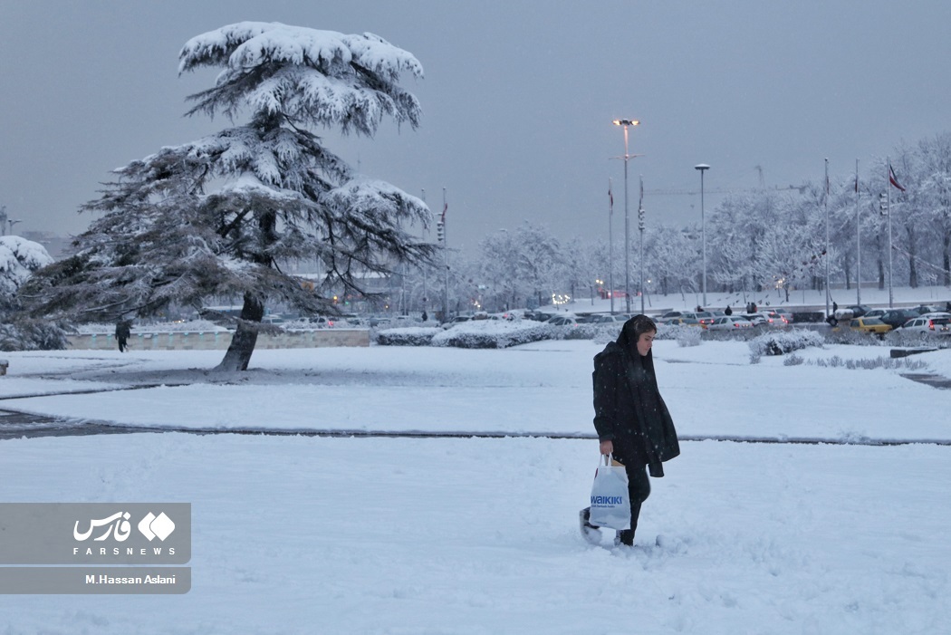 تصاویر: بارش برف در پایتخت