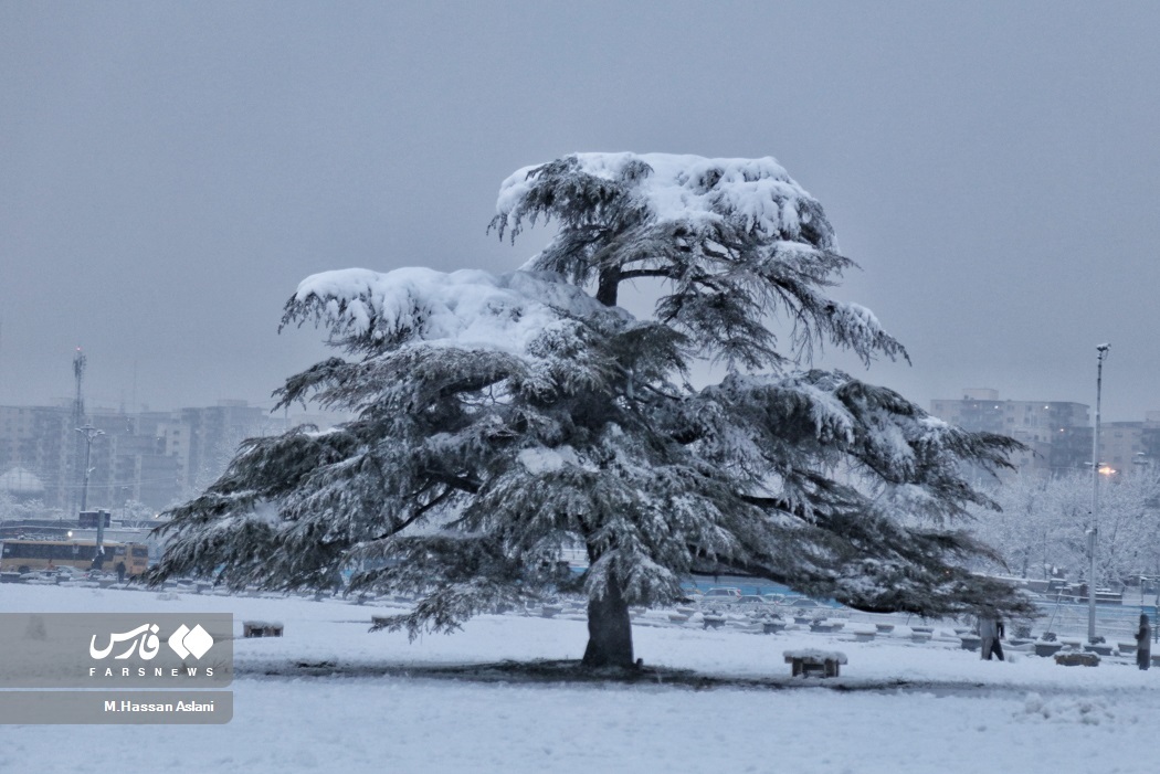 تصاویر: بارش برف در پایتخت