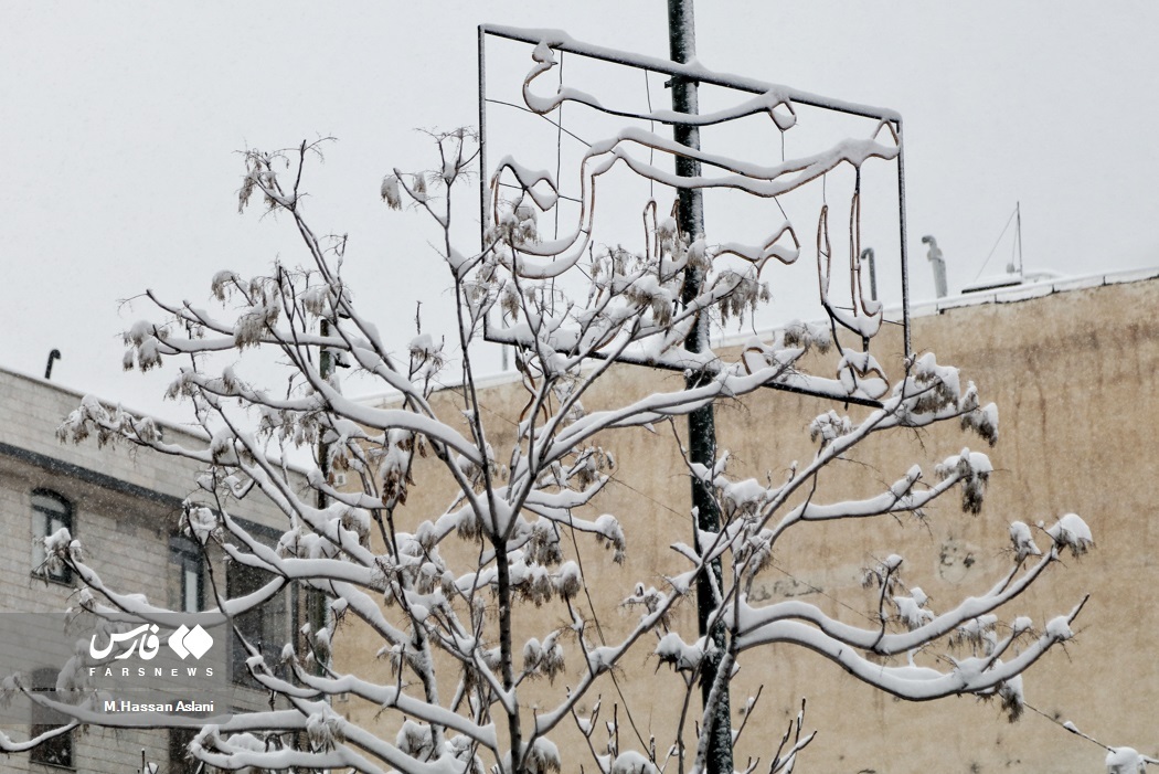 تصاویر: بارش برف در پایتخت