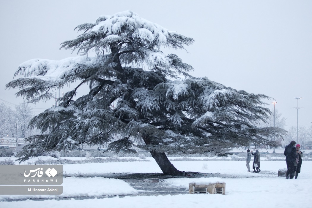 تصاویر: بارش برف در پایتخت