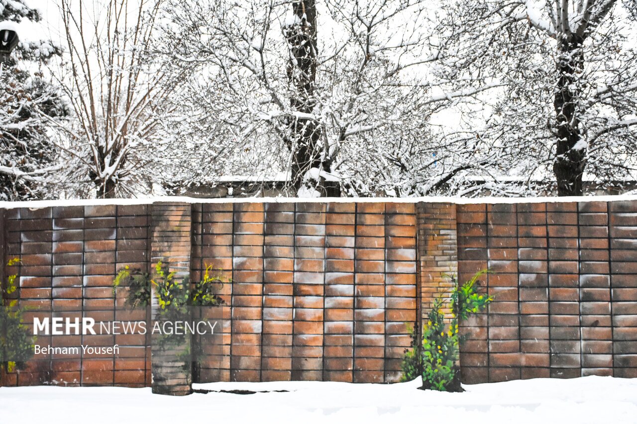 تصاویر: محله رنگی