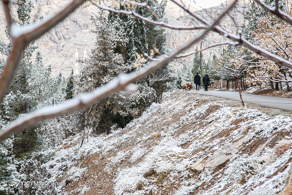 تصاویر: بارش برف کویری در کرمان