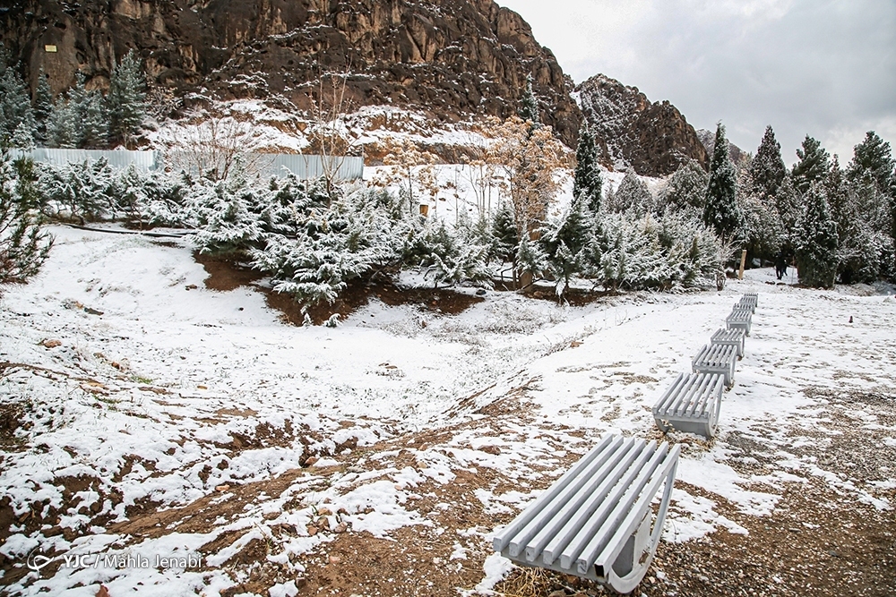 تصاویر: بارش برف کویری در کرمان