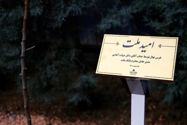 کاشت نهال