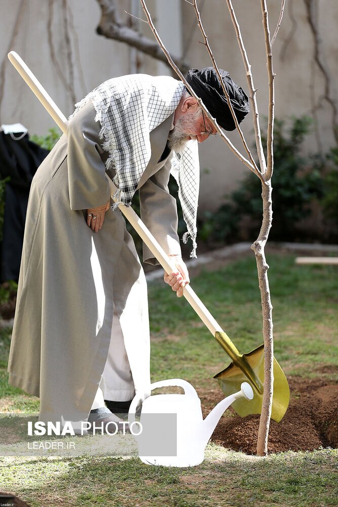 تصاویر: کاشت سه اصله نهال میوه توسط مقام معظم رهبری