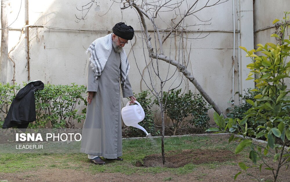 تصاویر: کاشت سه اصله نهال میوه توسط مقام معظم رهبری
