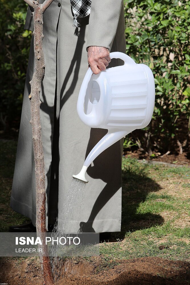 تصاویر: کاشت سه اصله نهال میوه توسط مقام معظم رهبری