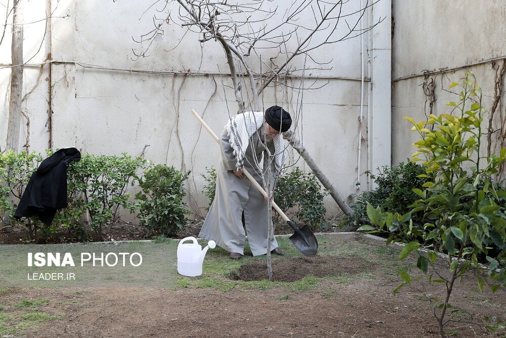 تصاویر: کاشت سه اصله نهال میوه توسط مقام معظم رهبری