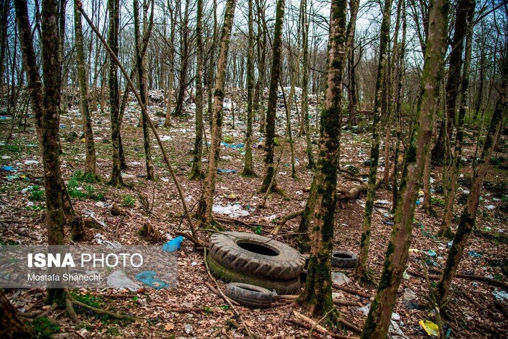 تصاویر: دپوی زباله در دل جنگلهای هیرکانی