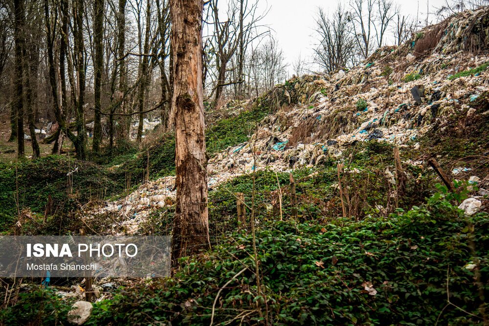 تصاویر: دپوی زباله در دل جنگلهای هیرکانی