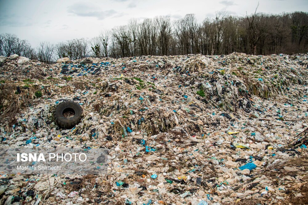 تصاویر: دپوی زباله در دل جنگلهای هیرکانی