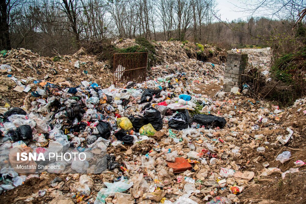 تصاویر: دپوی زباله در دل جنگلهای هیرکانی