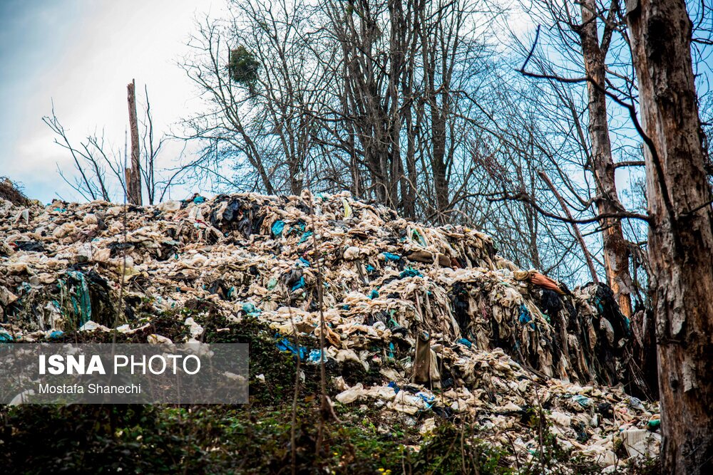 تصاویر: دپوی زباله در دل جنگلهای هیرکانی