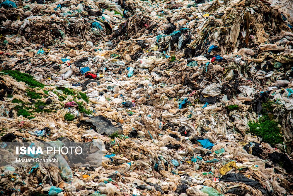 تصاویر: دپوی زباله در دل جنگلهای هیرکانی