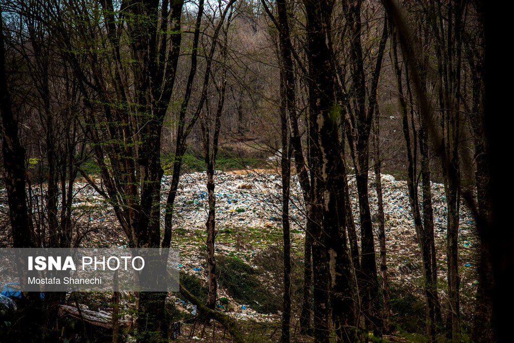 تصاویر: دپوی زباله در دل جنگلهای هیرکانی