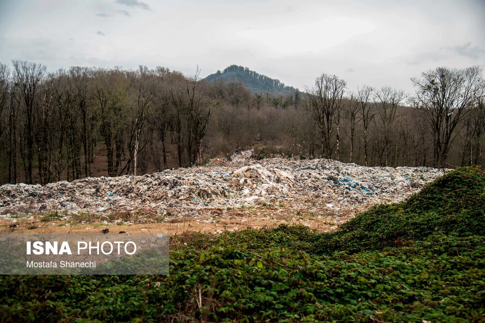 تصاویر: دپوی زباله در دل جنگلهای هیرکانی