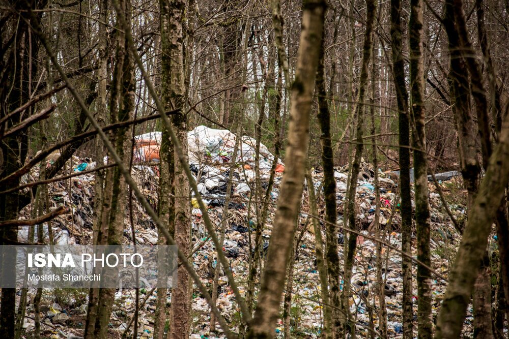 تصاویر: دپوی زباله در دل جنگلهای هیرکانی