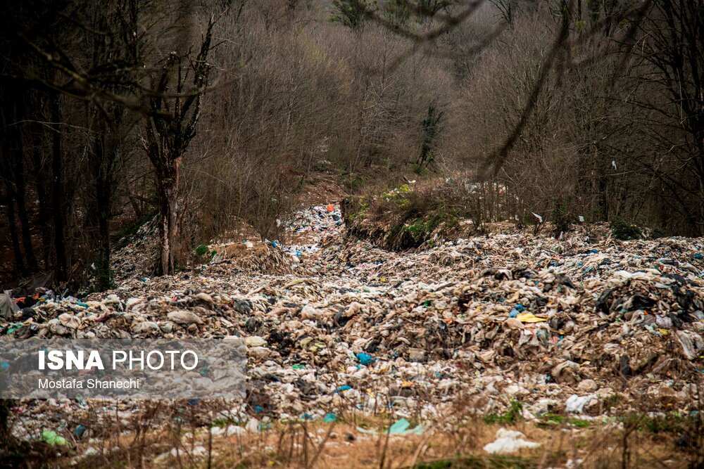 تصاویر: دپوی زباله در دل جنگلهای هیرکانی