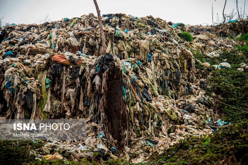 تصاویر: دپوی زباله در دل جنگلهای هیرکانی