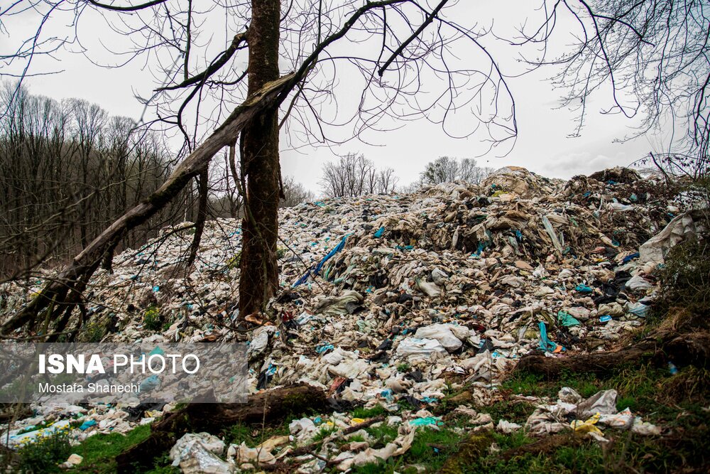 تصاویر: دپوی زباله در دل جنگلهای هیرکانی