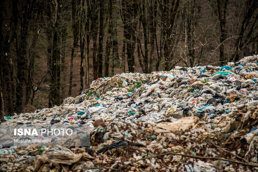 تصاویر: دپوی زباله در دل جنگلهای هیرکانی