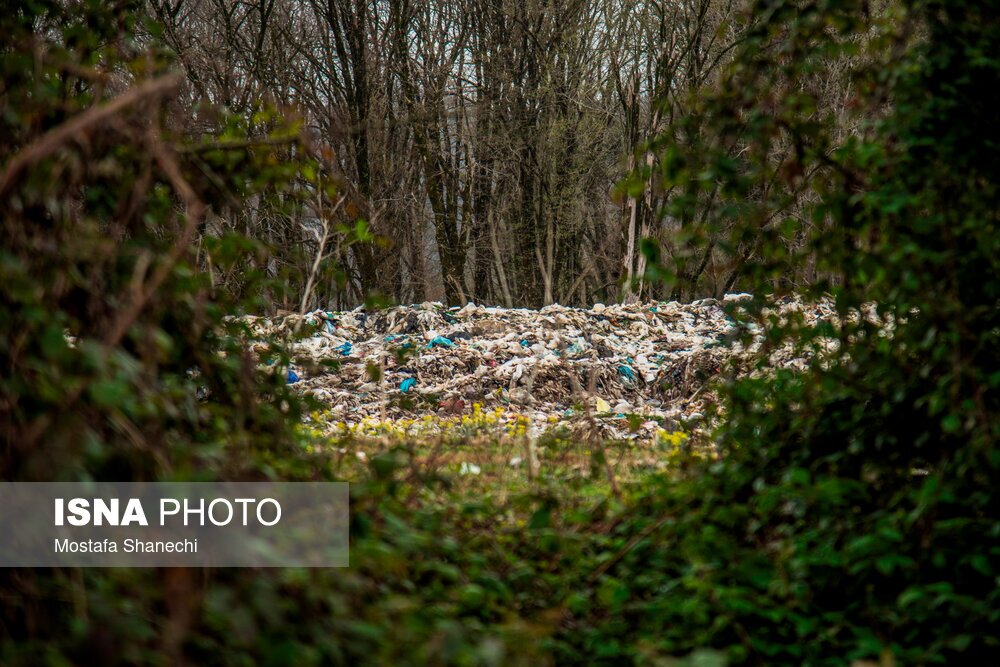 تصاویر: دپوی زباله در دل جنگلهای هیرکانی