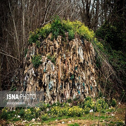 تصاویر: دپوی زباله در دل جنگلهای هیرکانی