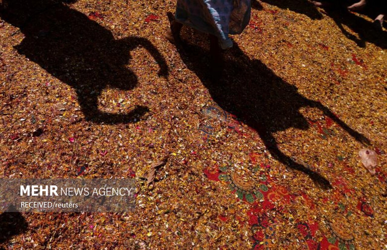 تصاویر: جشنواره رنگ‌ها در هند