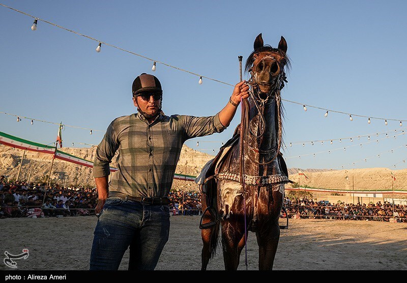 تصاویر: همایش بزرگ کشوری شو سواره اسب اصیل ایرانی - لامرد