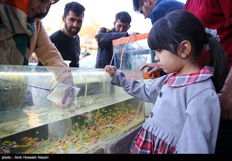 تصاویر: حال و هوای بازار قزوین در روزهای پایان سال