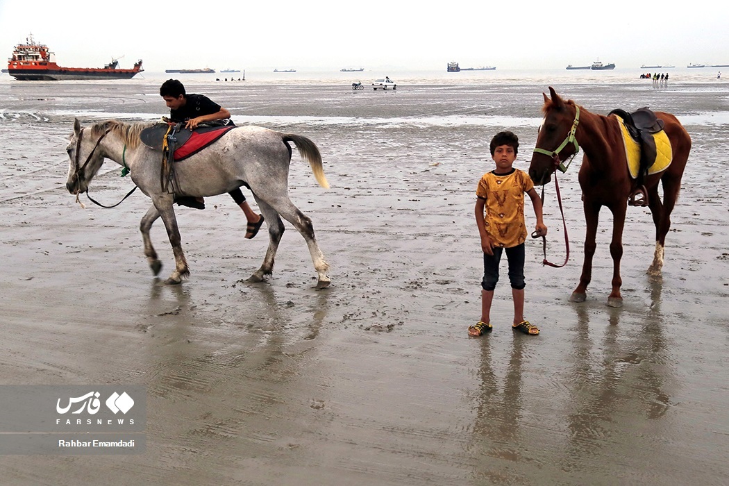تصاویر: ساحل «سورو» در بندرعباس