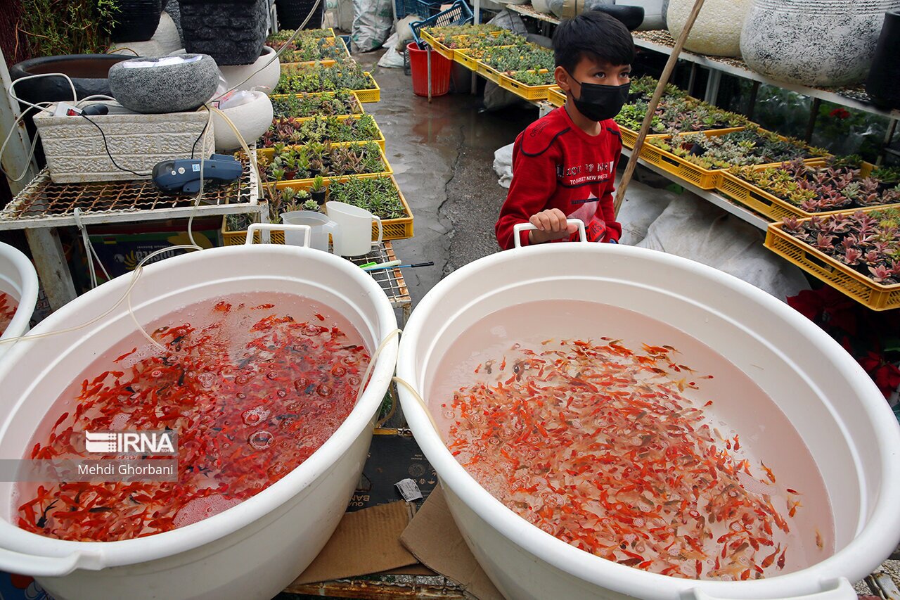 تصاویر: بازار خرید نوروزی مشهد
