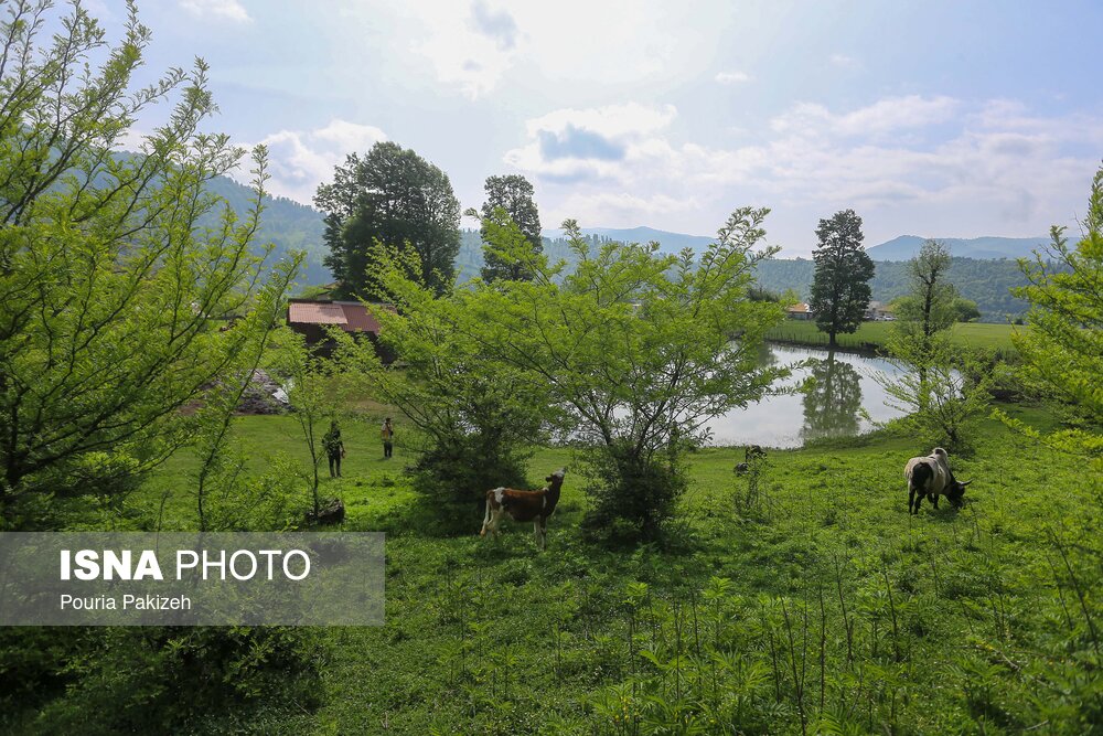 تصاویر: روستای &laquo;استخرگاه&raquo;