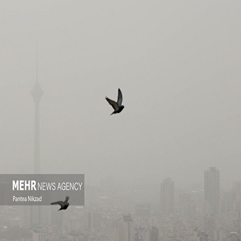 تصاویر: آلودگی هوای تهران
