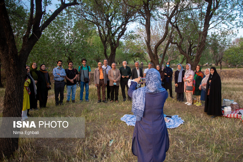 تصاویر: آیین پنجاه بدر در قزوین