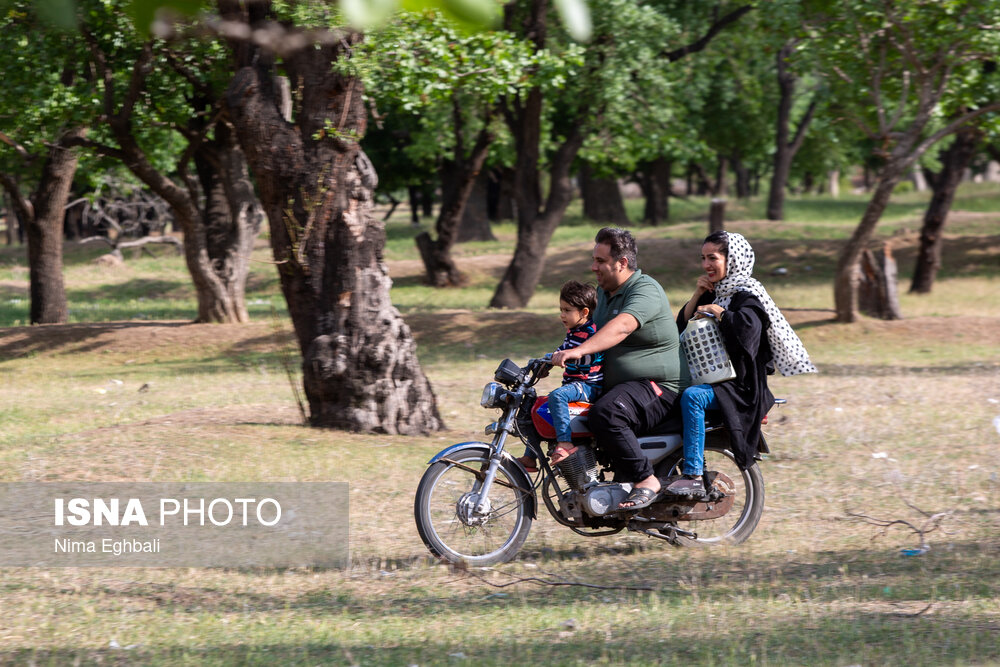 تصاویر: آیین پنجاه بدر در قزوین