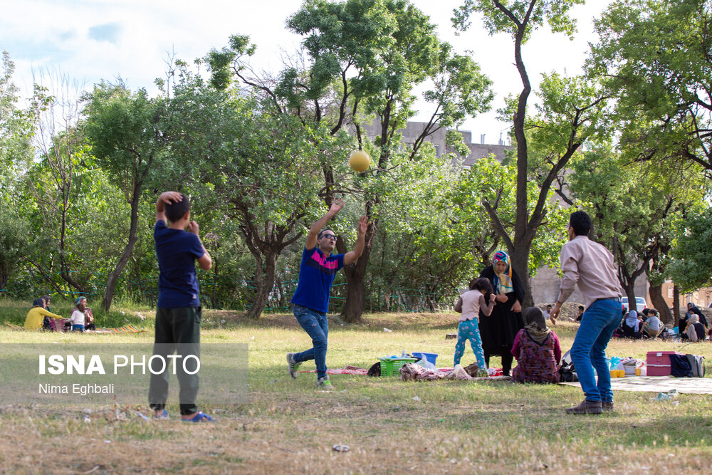 تصاویر: آیین پنجاه بدر در قزوین