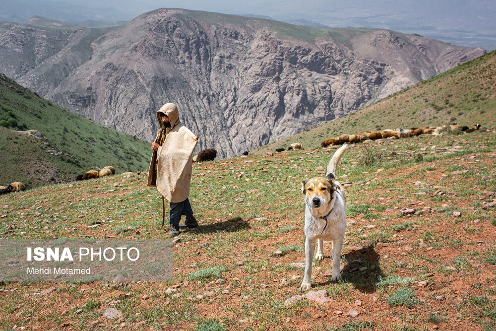 تصاویر: روستای &laquo;سیاهپوش&raquo;