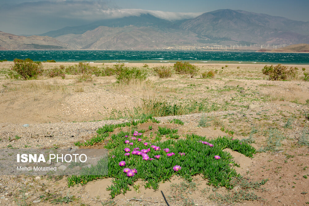 تصاویر: روستای &laquo;سیاهپوش&raquo;
