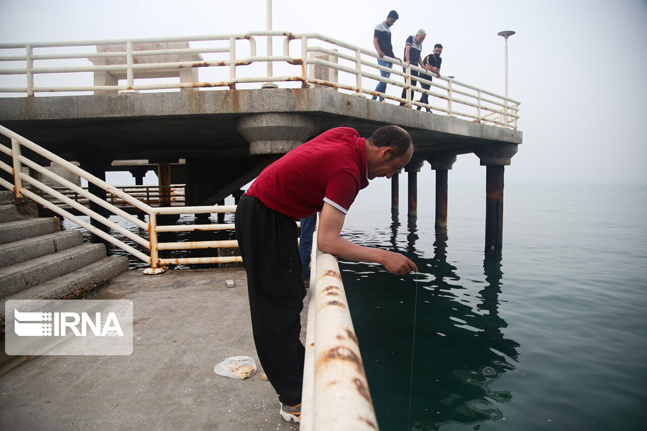 تصاویر: آب تنی در خلیج فارس