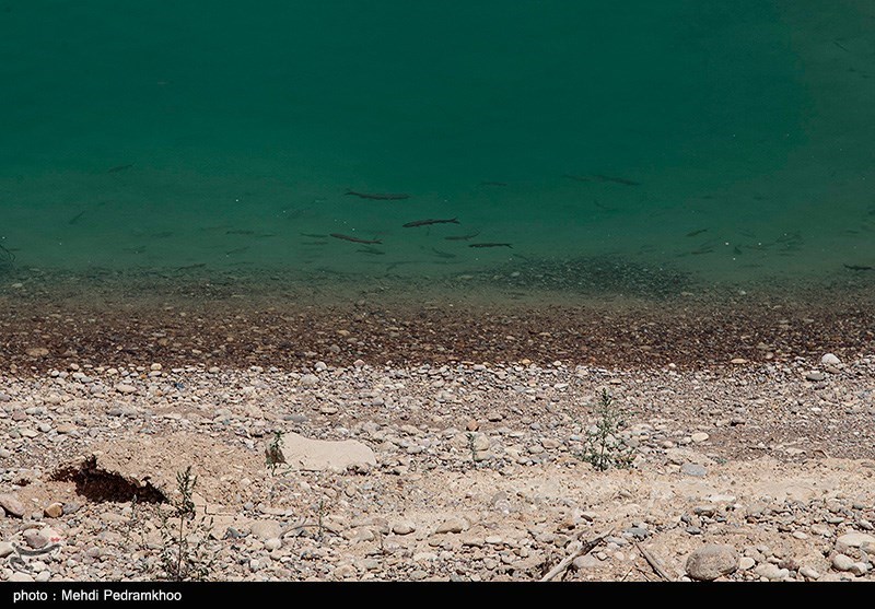 تصاویر: خشکسالی در حوضه رود کرخه