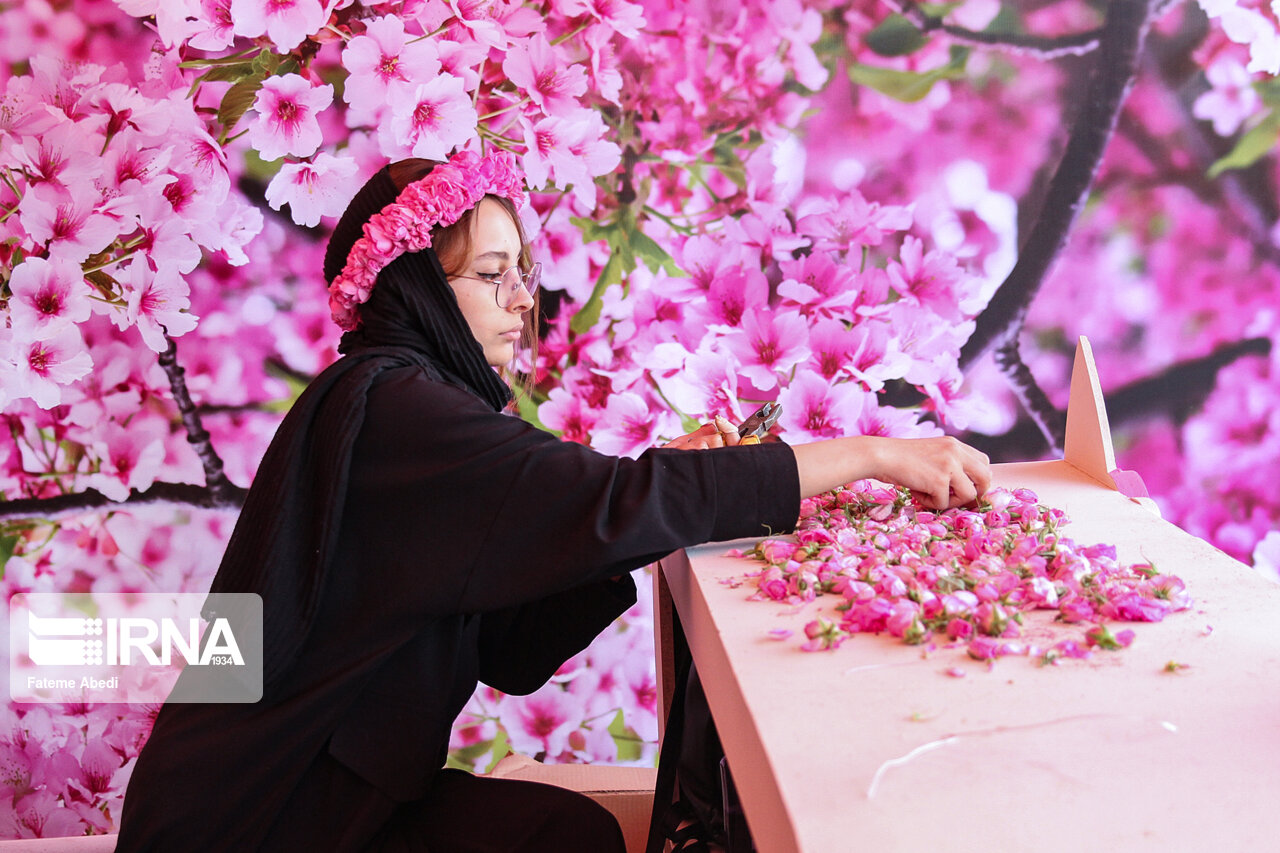تصاویر: جشنواره گل و گلاب