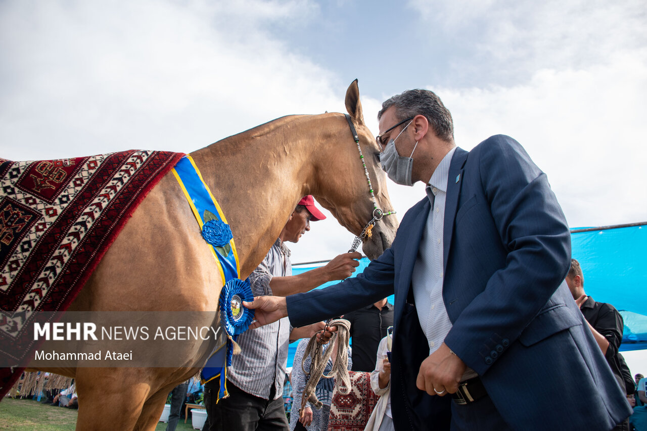 تصاویر: شانزدهمین جشنواره ملی «اسب اصیل ترکمن» در گلستان