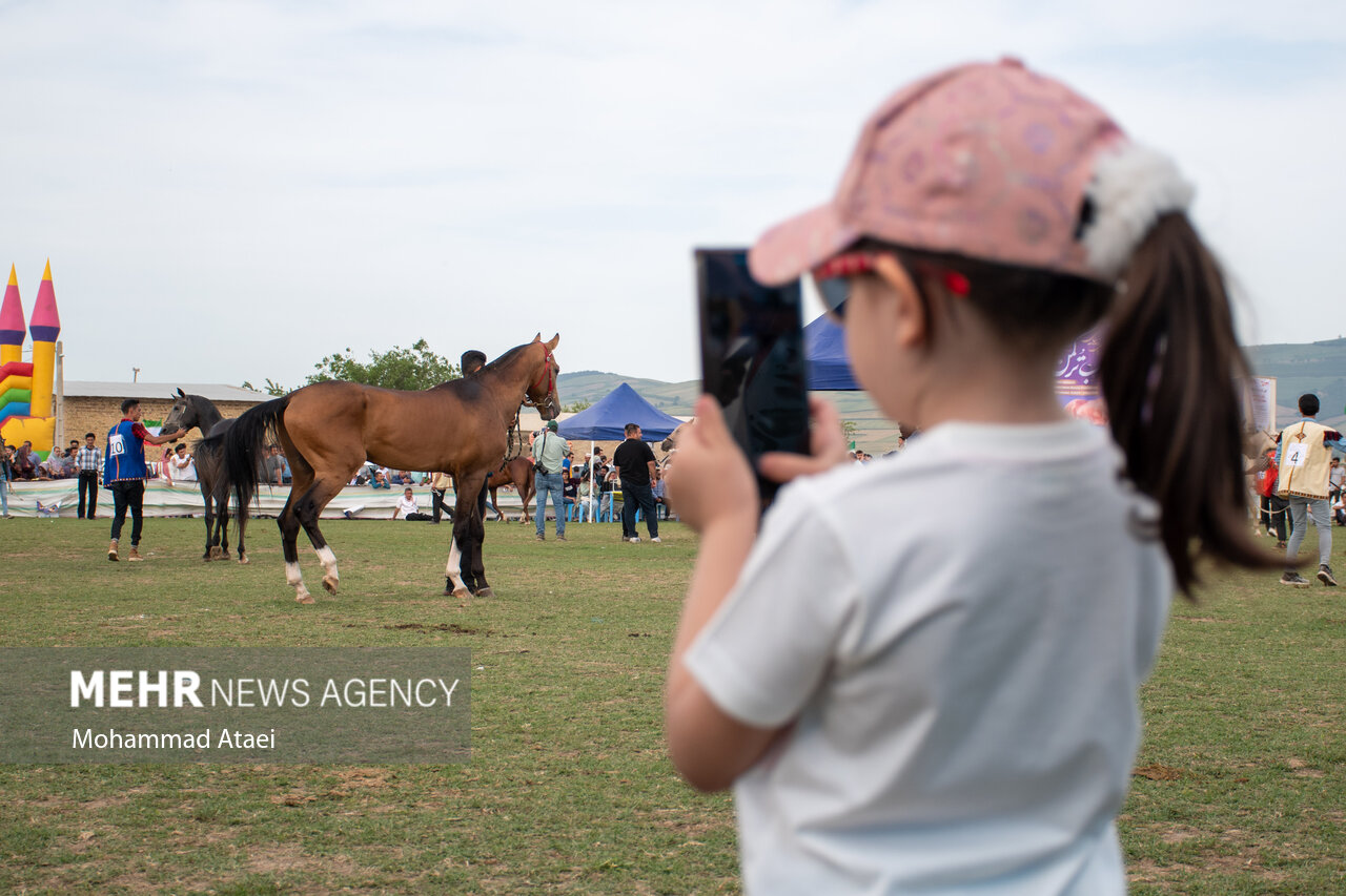 تصاویر: شانزدهمین جشنواره ملی «اسب اصیل ترکمن» در گلستان