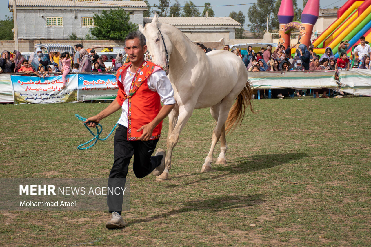 تصاویر: شانزدهمین جشنواره ملی «اسب اصیل ترکمن» در گلستان