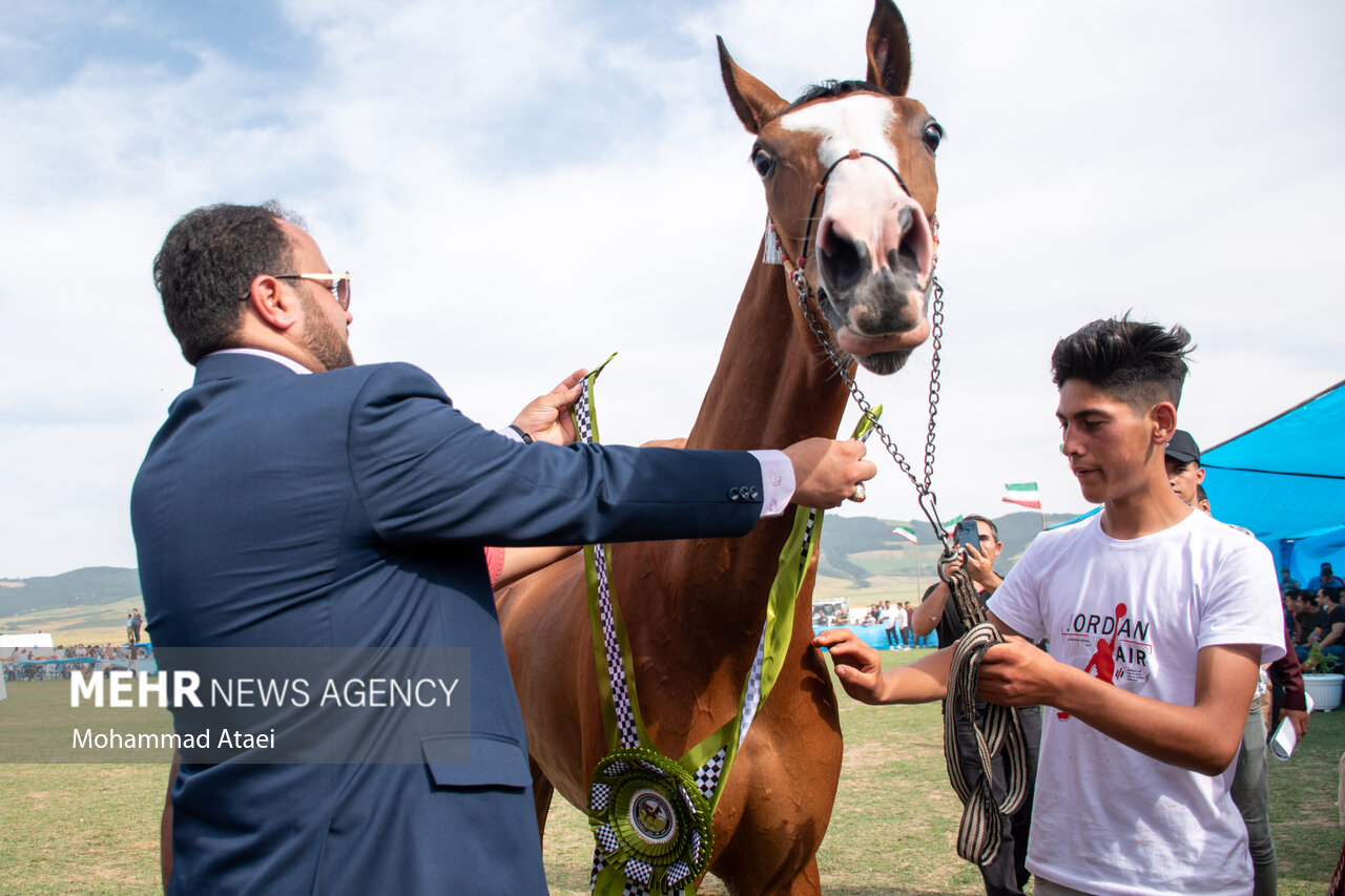 تصاویر: شانزدهمین جشنواره ملی «اسب اصیل ترکمن» در گلستان