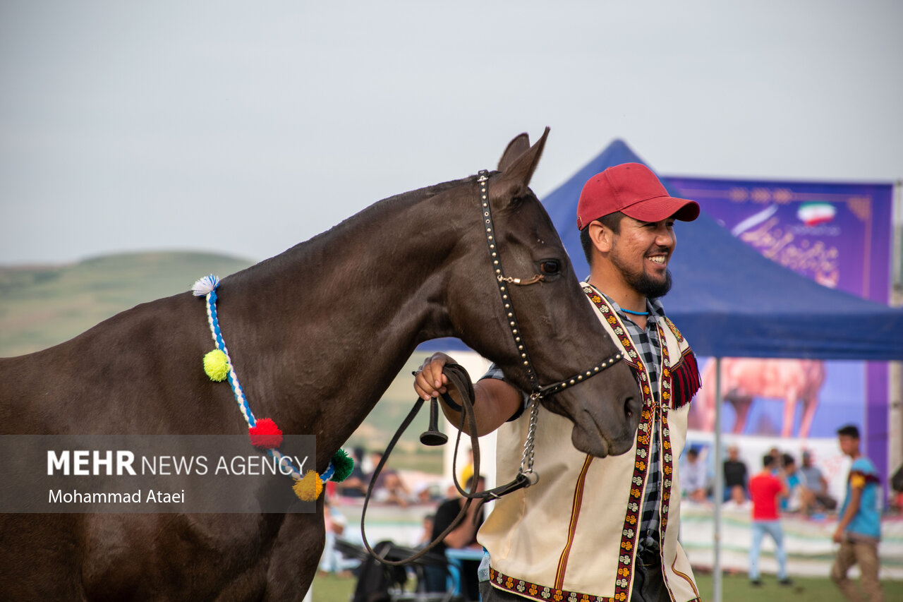 تصاویر: شانزدهمین جشنواره ملی «اسب اصیل ترکمن» در گلستان