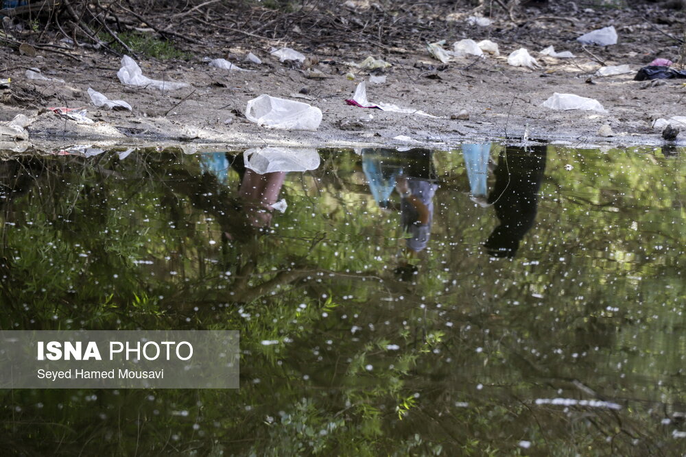 تصاویر: پاکسازی جنگل‌های کرخه به مناسبت روز جهانی زمین پاک